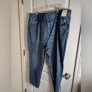 Terra & Sky NWT Curvy Vintage High Rise Jean Deconstructed Himline Women's  24W